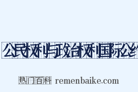 公民权利与政治权利国际公约是什么意思的图片